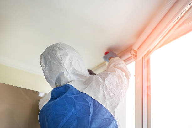 Mold Documentation for Insurance Claims in Otsego, MI